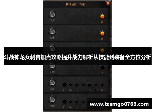 斗战神龙女刺客加点攻略提升战力解析从技能到装备全方位分析